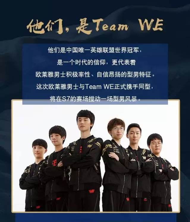 多面手属性 多面手属性